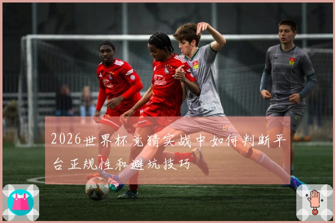 2026世界杯竞猜实战中如何判断平台正规性和避坑技巧