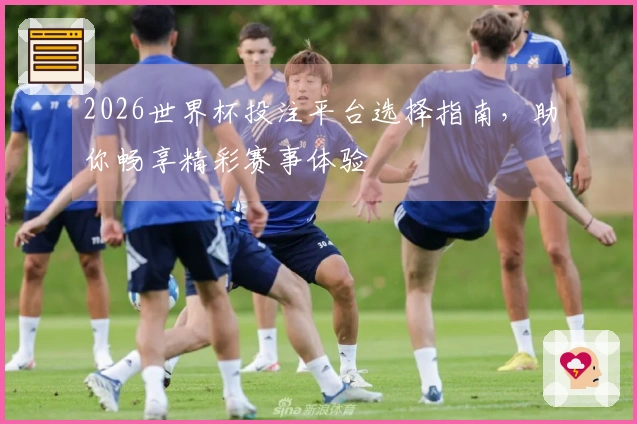 2026世界杯投注平台选择指南，助你畅享精彩赛事体验