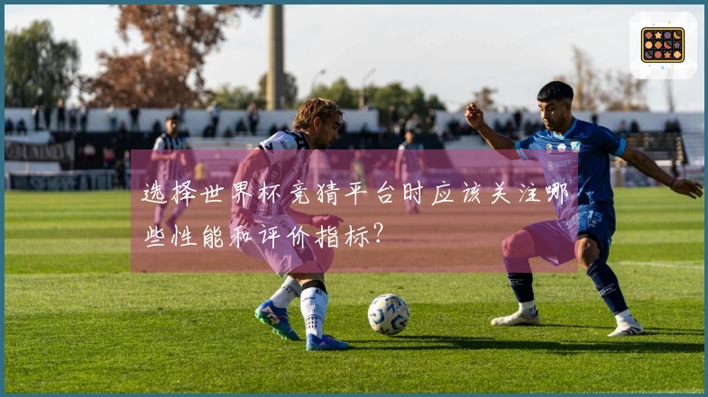 选择世界杯竞猜平台时应该关注哪些性能和评价指标？