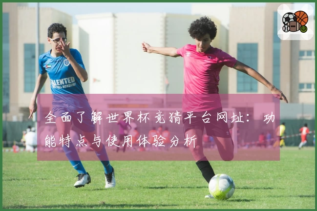 全面了解世界杯竞猜平台网址：功能特点与使用体验分析