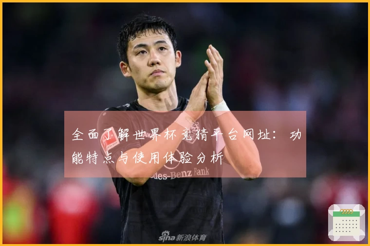 全面了解世界杯竞猜平台网址：功能特点与使用体验分析