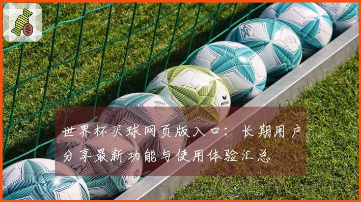 世界杯买球网页版入口：长期用户分享最新功能与使用体验汇总
