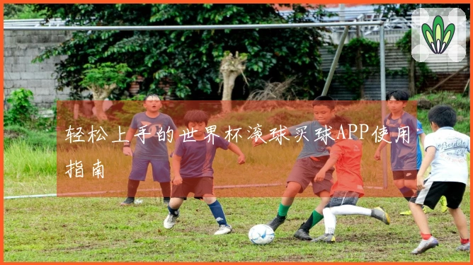 轻松上手的世界杯滚球买球APP使用指南