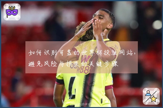 如何识别可靠的世界杯投注网站，避免风险与损失的关键步骤