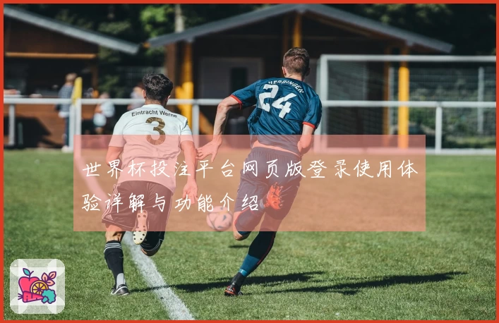 世界杯投注平台网页版登录使用体验详解与功能介绍
