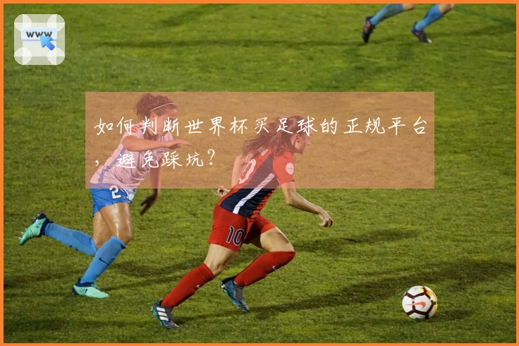 如何判断世界杯买足球的正规平台,避免踩坑?