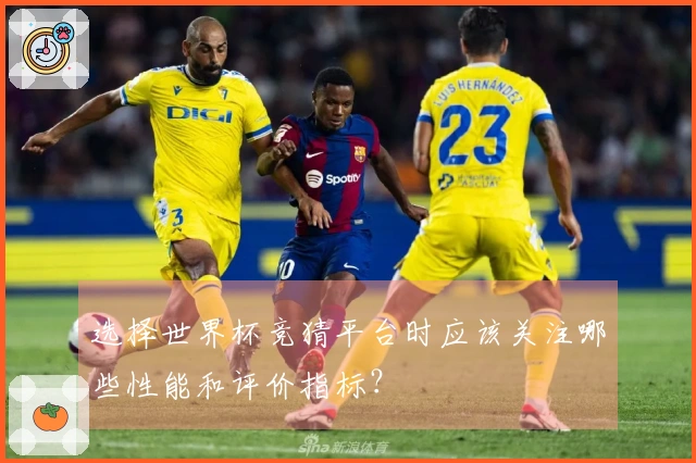 选择世界杯竞猜平台时应该关注哪些性能和评价指标?